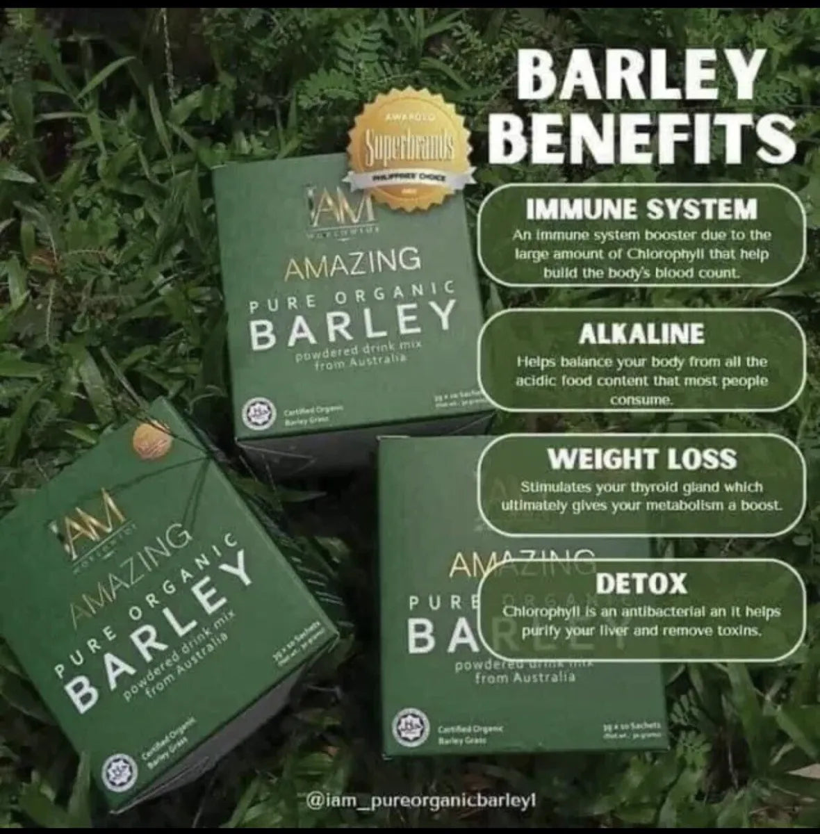 Amazing Pure Organic Barley (3 Boxes)